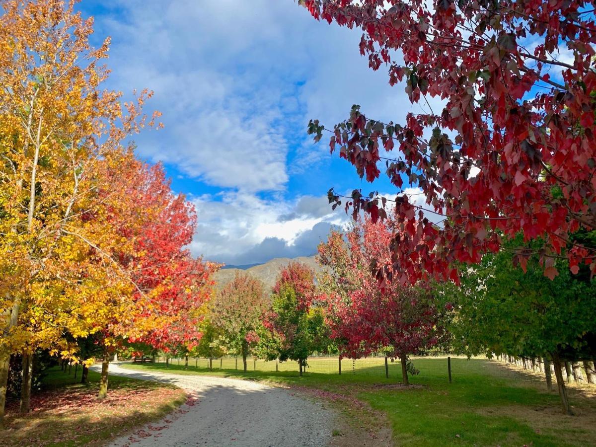 Queenstown Country Lodge Lake Hayes Ngoại thất bức ảnh