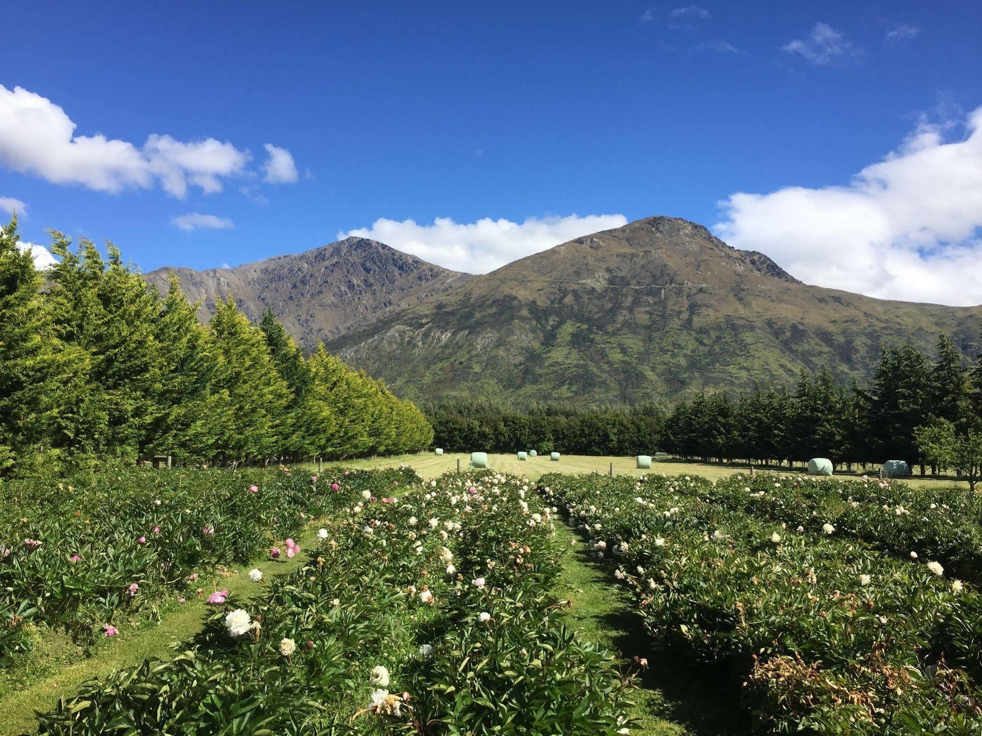 Queenstown Country Lodge Lake Hayes Ngoại thất bức ảnh